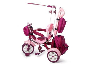 Tricicleta Pentru Copii MyKids Happy Trip KR03B Roz