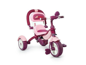 Tricicleta Pentru Copii MyKids Happy Trip KR03B Roz