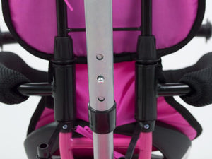 Tricicleta Copii BabyMix Ecotrike 188199 Roz