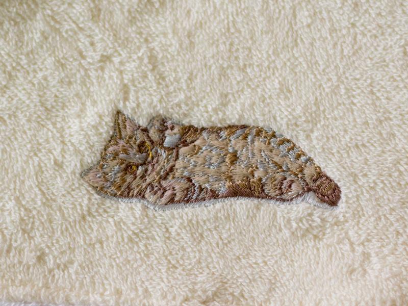 Prosop Baie Copii MyKids Crem 0-6 Luni