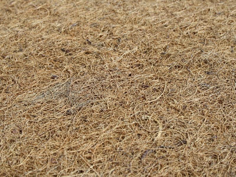 Saltea Copii MyKids Cocos Confort 160x70x12 (cm) Husa Microfibra