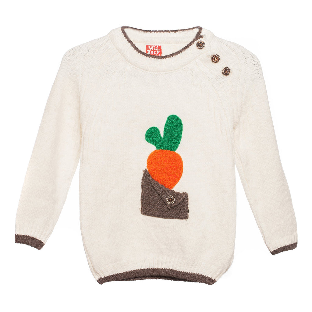 Bluza baieti Carrot