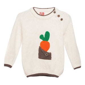 Bluza baieti Carrot