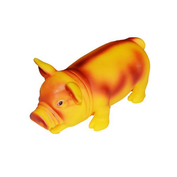 Chitaitoare porc "grohaie" mare