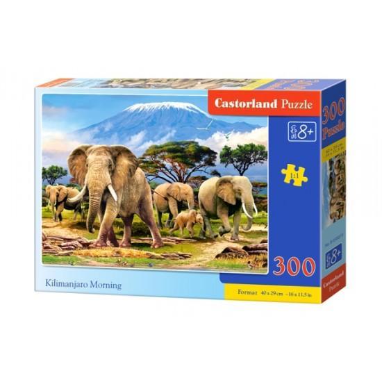 Puzzle 300 Pcs premium - Castorland
